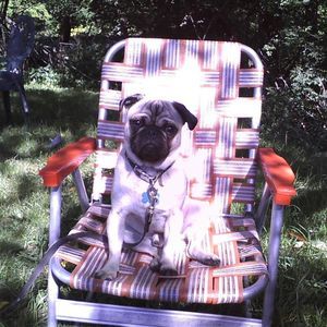 Meet your Posher, David